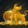 bitcoinbull