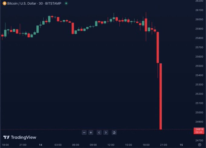 Bitcoin Plummets Below $25,000, Entering Prolonged Bear Market
