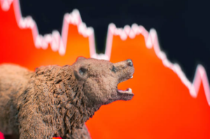 How to Survive the Crypto Bear Market?