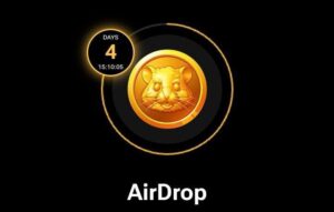 Check your hamster combat airdrop $HMSTR just dropped